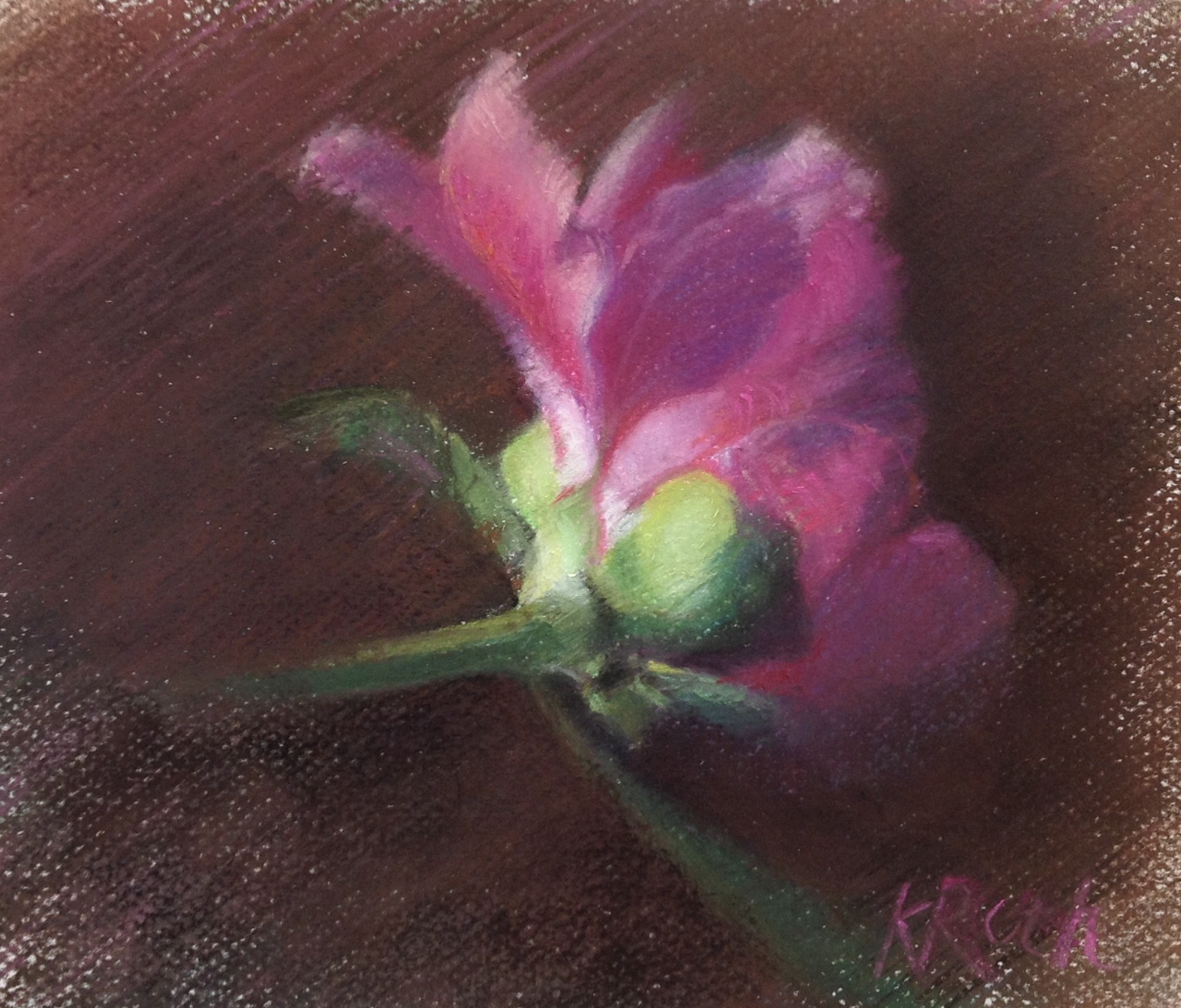 Paintings - Kim Roth - Fine Art