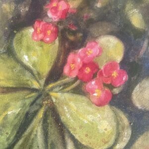 Watercolor Kickstart - Teen / Adult Class